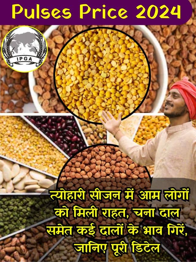 Pulses Price 2024: त्योहारी सीजन में आम लोगों को मिली राहत, चना दाल समेत कई दालों के भाव गिरें, जानिए पूरी डिटेल