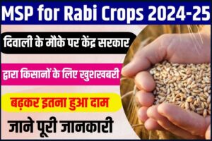 Rabi Crops MSP 2024-25: दिवाली के मौके पर केंद्र सरकार द्वारा किसानों के लिए खुशखबरी, MSP घोषित, बढ़कर इतना हुआ दाम