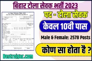 Bihar Tola Sevak Vacancy 2023: बिहार में नई टोला सेवक वैकेंसी हुई जारी, जाने क्या है आवेदन की अन्तिम तिथि तथा आवेदन प्रक्रिया