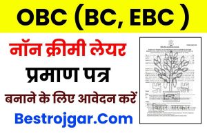 Bihar OBC NCL Certificate 2023: नॉन क्रीमी लेयर सर्टिफिकेट के लिए ऑनलाइन आवेदन कैसे करें Best Process