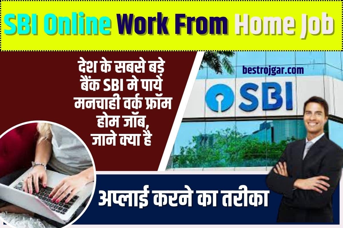 SBI Online Work From Home Job