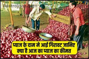 ONION PRICE UPDATE 2023: प्याज के दाम मे आई गिरावट, जानिए पूरी जानकारी यहाँ हमारे बेवसाइट पर