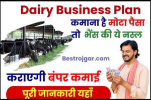 Dairy Business Plan 2023: डेयरी बिजनेस से कमाना है मोटा पैसा तो , भैंस की ये नस्ल कराएगी बंपर कमाई, जाने पूरी जानकारी यहाँ