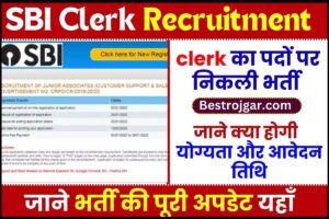 SBI Clerk Recruitment 2023 : SBI में क्लर्क के पदों पर निकली बम्पर भर्ती ,आवेदन की पूरी जानकारी यहाँ देखे