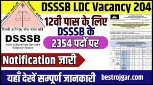 DSSSB LDC Vacancy 2024: 12वी पास के लिए एलडीसी के 2354 पदों पर नोटिफिकेशन जारी