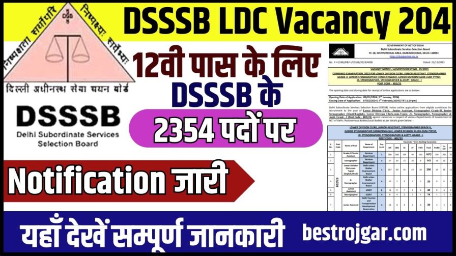 DSSSB LDC Vacancy