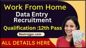 Work From Home Data Entry Recruitment : वर्क फ्रॉम होम डाटा एंट्री ऑपरेटर भर्ती,योग्यता 12वीं पास आवेदन करें 