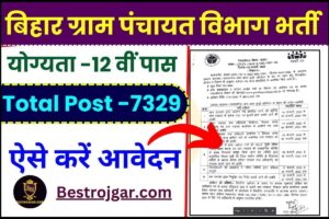 Gram Panchayat New Bharti 2024 : पंचायतो में 7329 लेखापाल सह आईटी सहायक किये जायेंगे बहाल, जाने क्या है पूरी रिपोर्ट