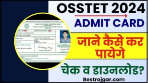 OSSTET Admit Card 2024