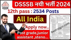 DSSSB New Bharti 2024 : DSSSB बोर्ड ने निकाली साल 2024 की नई सरकारी भर्ती, जाने  आवेदन की अन्तिम तिथि तथा आवेदन प्रक्रिया यहाँ से 