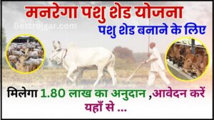 MGNREGA Pashu Shed Yojana 2024 : सरकार से अब पशुओं का शेड बनाने के लिए रु1 लाख 80,000 अनुदान में मिलेंगे, जल्दी करें आवेदन