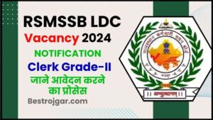 RSMSSB LDC Vacancy 2024: ऑनलाइन आवेदन शुरू-645 क्लर्क ग्रेड- II पोस्ट के लिए अधिसूचना जारी देखे पूरी जानकारी हमारे वेबसाइट पर