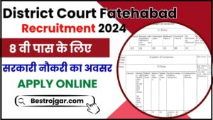 District Court Fatehabad Recruitment 2024