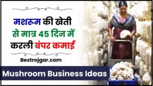 Mushroom Business Ideas 2024: मशरूम की खेती से मात्र 45 दिन में करली बंपर कमाई जाने पूरी जानकारी हमारे वेबसाइट पर 