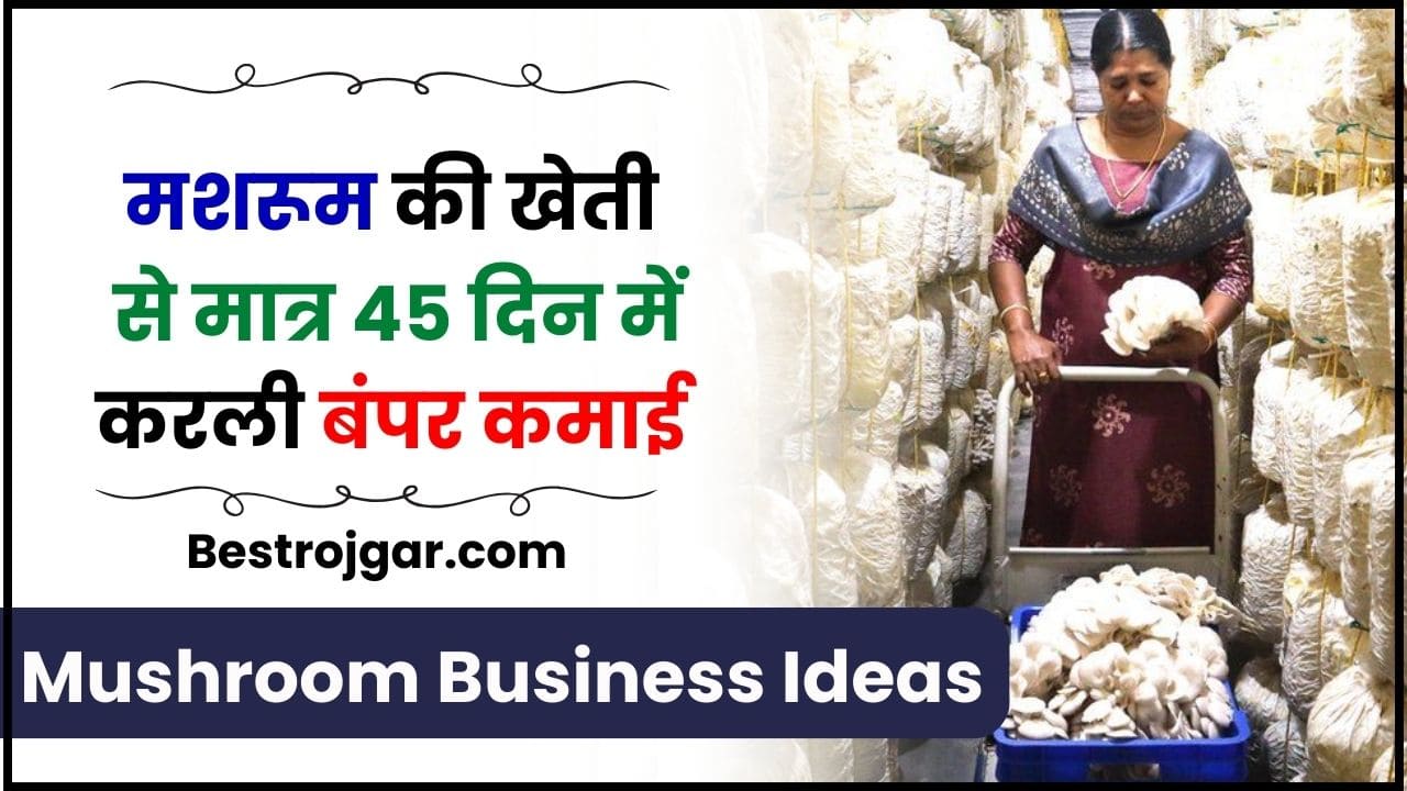 Mushroom Business Ideas 2024