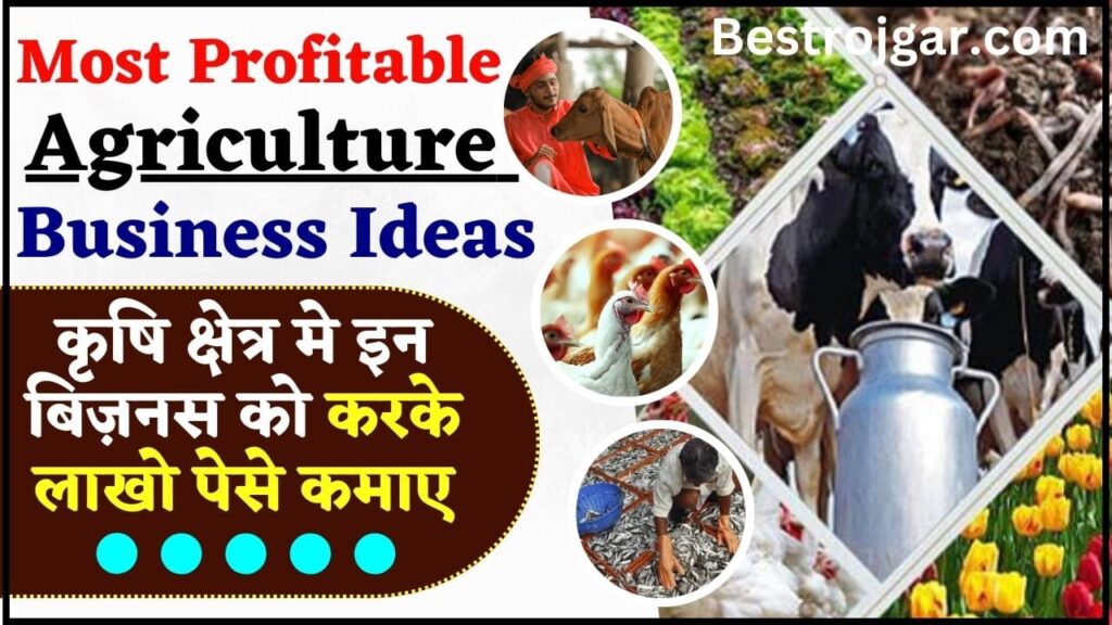 Most Profitable Agriculture Business In India 2024