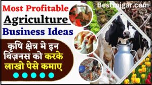 Most Profitable Agriculture Business In India 2024 : एग्रीकल्चर सेक्टर के टॉप बिजनैस आईडियास के बारे मे पूरी जानकारी यहाँ जाने 