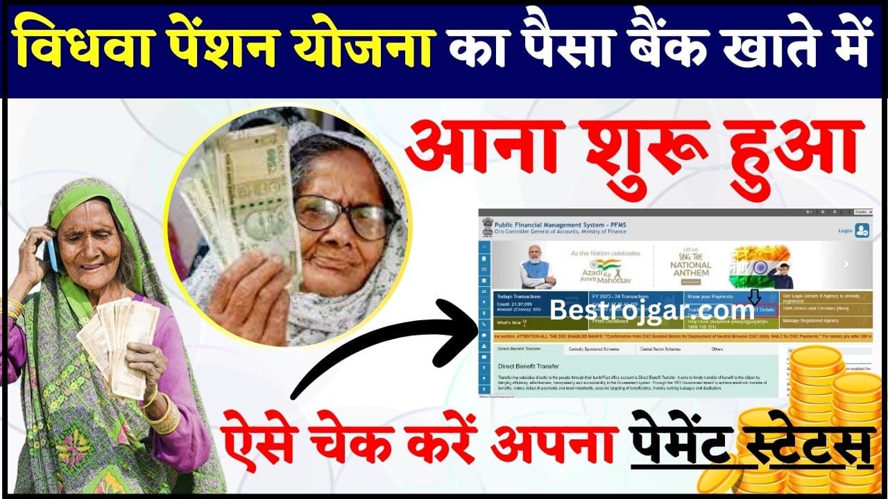 Vidhwa Pension Yojna Payment Status Check 2024