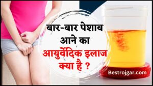 Ayurvedic Remedies For Frequent Urination 2024 : बार-बार पेशाब आने की समस्या से छुटकारा पाने के लिए आजमाएं ये आयुर्वेदिक उपाय, नहीं होगी परेशानी