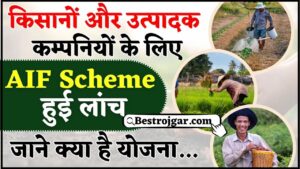 AIF Scheme Apply Online 2024 : किसानों और उत्पादक कम्पनियों के लिए AIF Scheme हुई लांच, जाने क्या पूरी योजना और आवेदन प्रक्रिया 