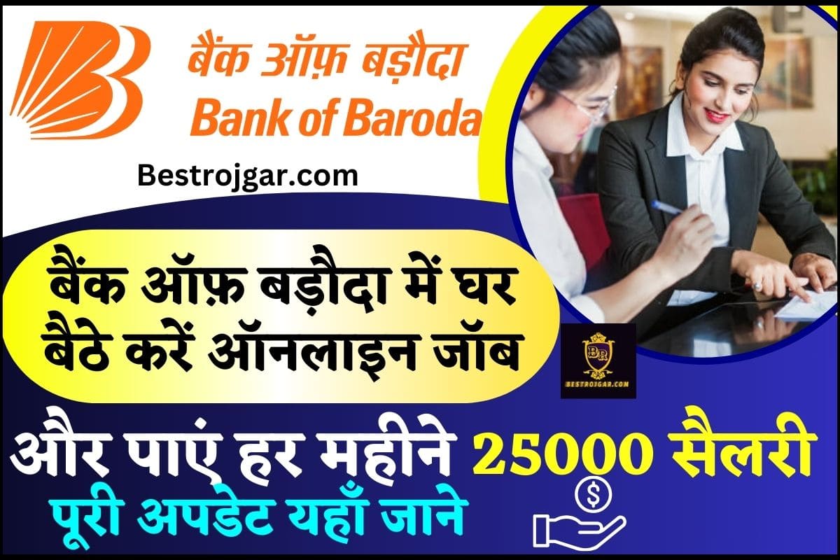 BOB Online Work From Home Job 2024