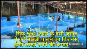 Start Fish Farming Business: सिर्फ 550 रुपये के देसी जुगाड़ में करें मछली पालन का बिजनेस, होगी लाखों रुपये की कमाई