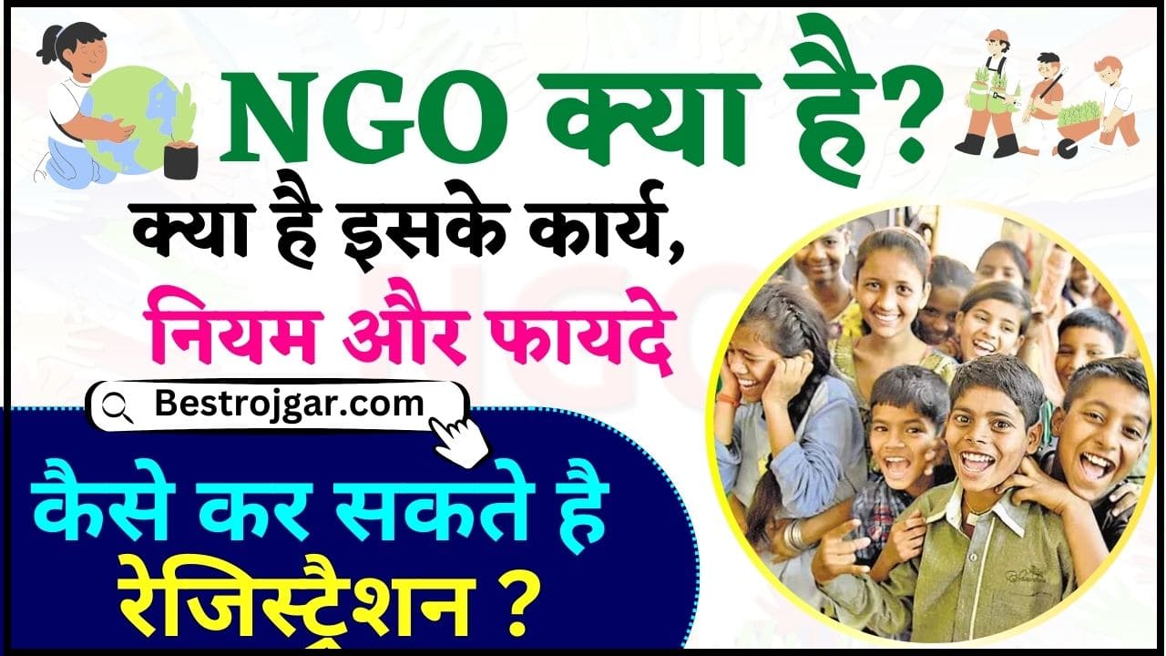 What is NGO