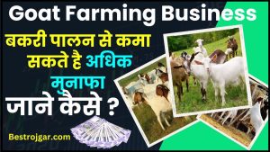 Goat Farming Business 2024– बेहद लाभदायक व्यापार है बकरी पालन, कमा सकते है अधिक मुनाफा जाने कैसे ?