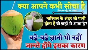 Coconut water benefits in hindi 2024 : नारियल के अंदर पानी कहां से आता है? बड़े-बड़े ज्ञानी भी नहीं जानते होंगे इसका कारण 