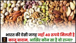 Cheapest Dry Fruits Market : भारत की ऐसी जगह जहाँ 40 रुपये मिलती है काजू बादाम, आखिर कौन सा है वो राज्य?