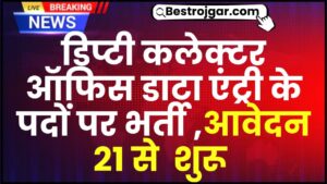 Deputy Collector Office Data Entry Bharti 2024 : डिप्टी कलेक्टर ऑफिस डाटा एंट्री के पदों पर भर्ती ,आवेदन 21से  शुरू 