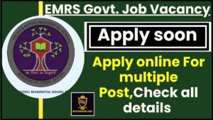 EMRS Govt Job Vacancy Apply Soon 2024 : EMRS विभाग में जल्द ही क्लर्क, टीचर, ऑपरेटर, वार्डन के हजारों पद भरे जाएंगे जाने पूरी डिटेल्स 