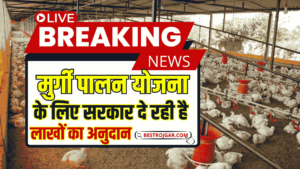 Bihar Murgi Palan Yojana 2025 : बिहार सरकार दे रही है मुर्गी फ़ार्म खोलने के लिए पैसा ऐसे करे ऑनलाइन