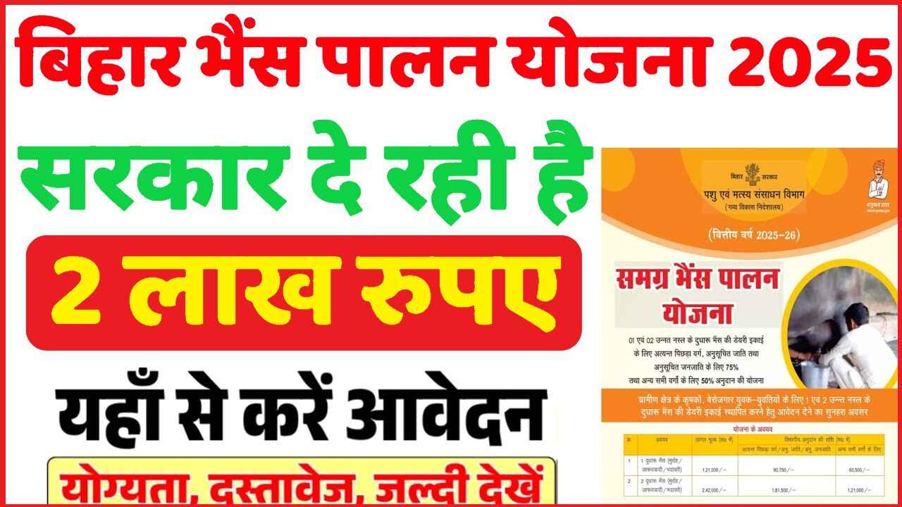 Bihar Bhains Palan Yojana 2025: भैंस पालन पर 75% तक की सब्सिडी, बिहार में डेयरी किसानों के लिए सुनहरा अवसर! 2 Bihar Bhains Palan Yojana 2025